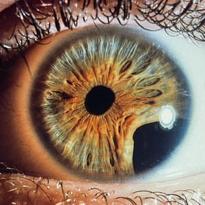 The Seasons, Op. 1: XI November (Slow Cantiga)