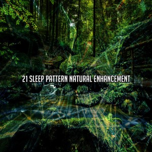 自然之声 自然音乐 - 变革之风