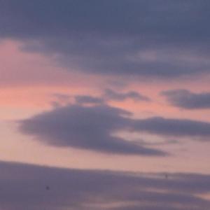 Pull Na Imprezach (Explicit)