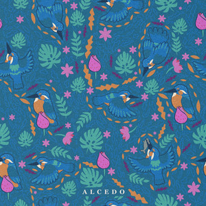 Alcedo