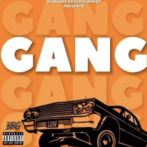 GANG (feat. ZaySoSleeze, BIGBANDSDAY & TrickyJayy) [Explicit]