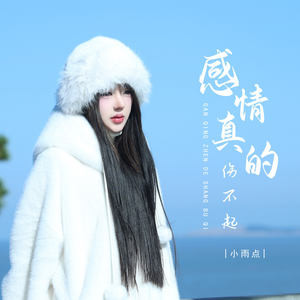 感情真的伤不起 (DJ彭锐版) - 小雨点封面