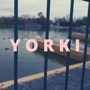 Yorki
