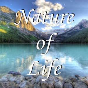 Nature of Life