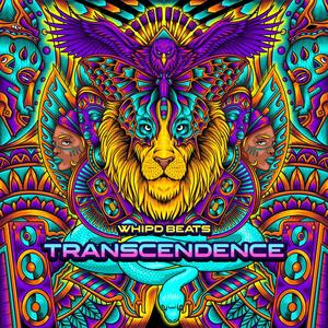 Transcendence