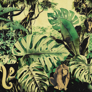 monstera religiosa