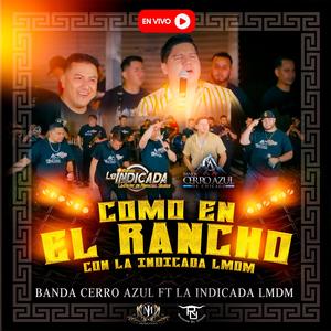 Lagrimas De Sangre (feat. Banda La Indicada La Mejor De Mazatlan Sinaloa)