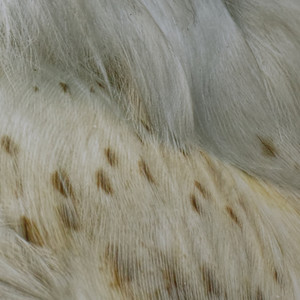 Finally, Spring Had Arrived