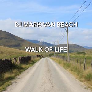 Walk of Life (feat. Steven Cole) (Radio Edit)