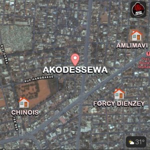 Akodessewa (feat. Forcy Dienzey & Chinois) [Explicit]