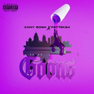 GOONS (feat. Pattek 24) (Explicit)