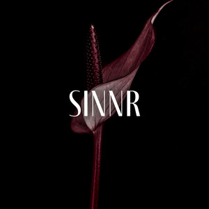 Sinnr