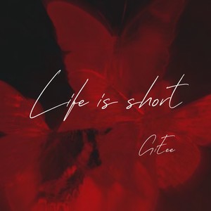 Life is short