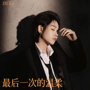 最后一次的温柔 (DJ版) - 吕口口封面