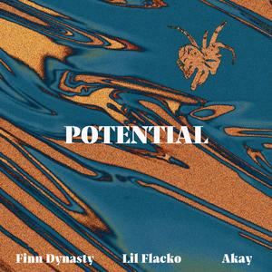 POTENTIAL (feat. AKay) [Explicit]