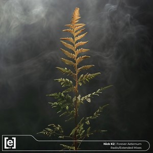 Forever Aeternum (Extended Mix)