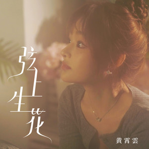 黄霄雲《弦上生花》[MP3_LRC]_MP3免费下载