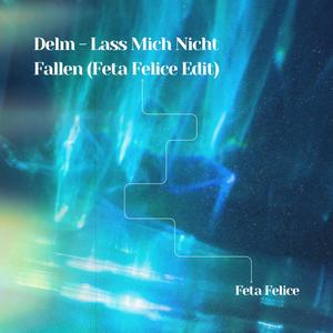 Lass Mich Nicht Fallen (Feta Felice Edit) (feat. Delm) [Remix]