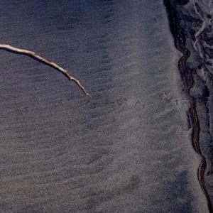 Le pingouin qui glisse le plus loin