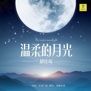 温柔的月光DJ小刚版 (伴奏)