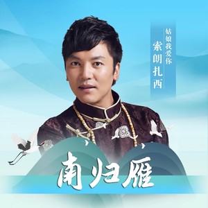 南归雁