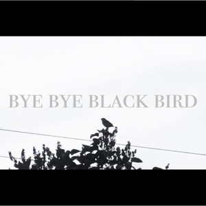 Bye Bye Blackbird (feat. Thomas Dubois) (Remix)