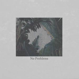 No Problems