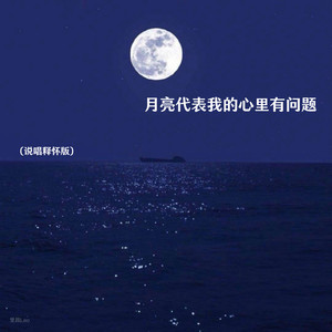 月亮代表我的心里有问题 (说唱释怀版)