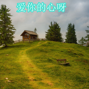 爱的城市 (DJ版)