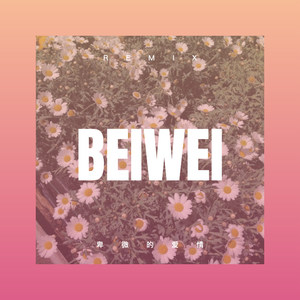 迎着风向前冲 (DJ版)