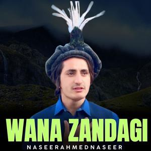 Wana Zandagi
