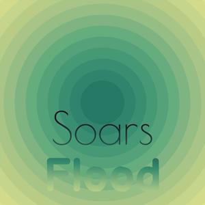 Soars Flood