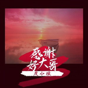 感谢好大哥