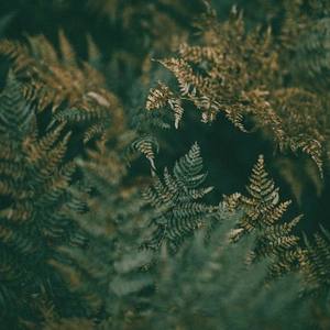 忘掉过去 (电台版)