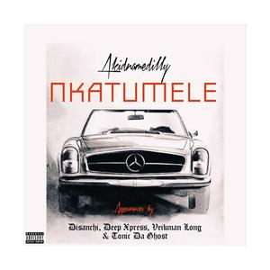 Nkatumele (feat. Disanchi, Deep Xpress, Veikman Long & Tonic Da Ghost) [Explicit]