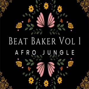 The Beat Baker Vol 1 (Afro Jungle)