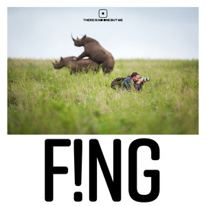 F!NG (Original Mix)