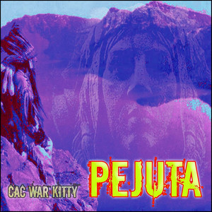 Pejuta