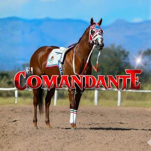 El comandante
