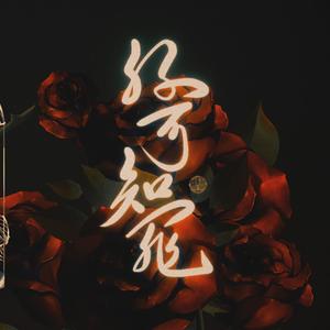 【女王觉醒】野心与美貌并存，柔荑下是帝王璀璨的权杖//你可知罪