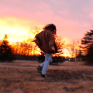 Panarchy Theory: Part One (Growth)