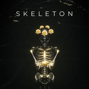 Skeleton