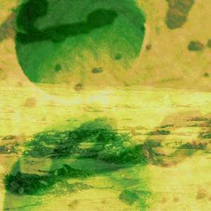 Shadows of Bowker Vale