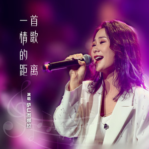 一首情歌的距离