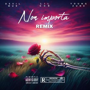 Non importa (feat. Young zune) [REMIX] [Explicit]