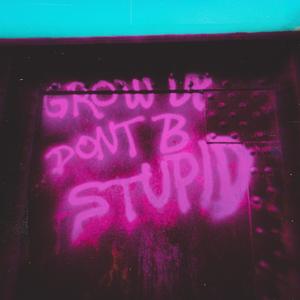 Shortstop (feat. Official Choppa King Swiff) (Explicit)