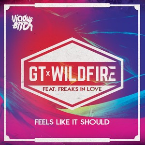 Feels Like It Should (Single)