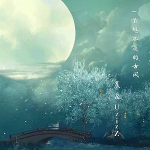 只喜欢你