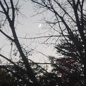 Cold World (Explicit)