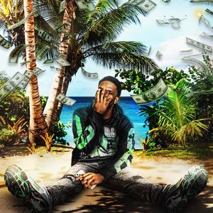 Wild Life (Explicit)